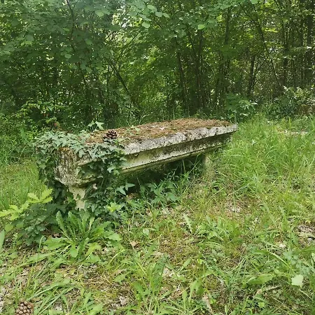 Bed & Breakfast La Montagne Sud