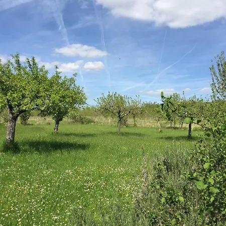 La Montagne Sud Bed & Breakfast