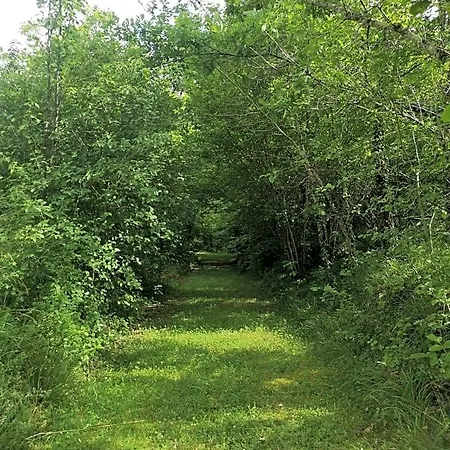 La Montagne Sud *