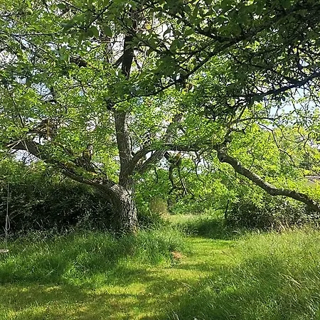 La Montagne Sud *