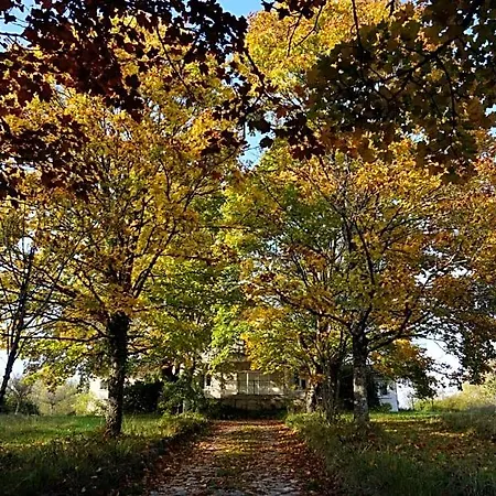 Bed & Breakfast La Montagne Sud Allemans