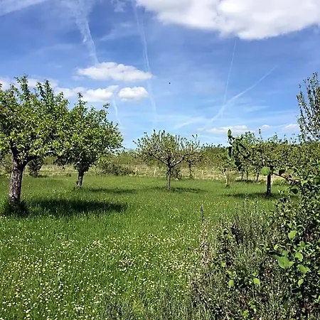 La Montagne Sud Allemans