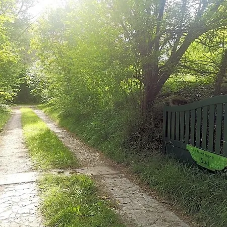 La Montagne Sud *