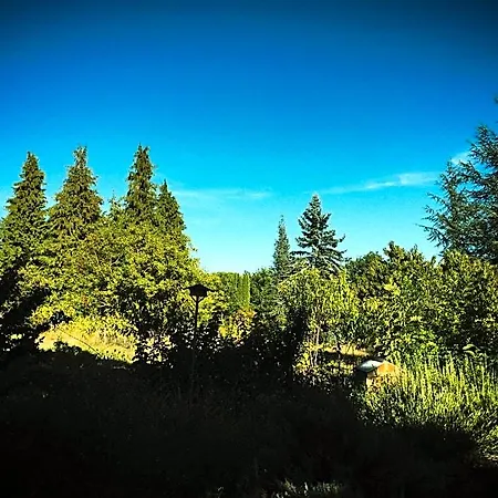 La Montagne Sud Bed & Breakfast Allemans