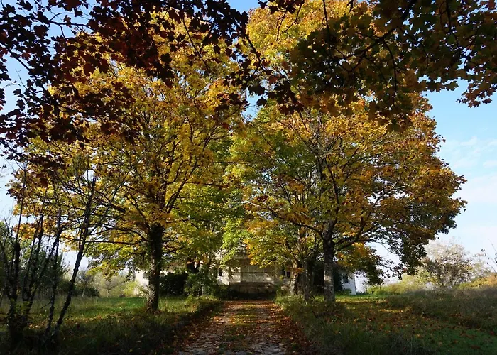 La Montagne Sud Bed & Breakfast